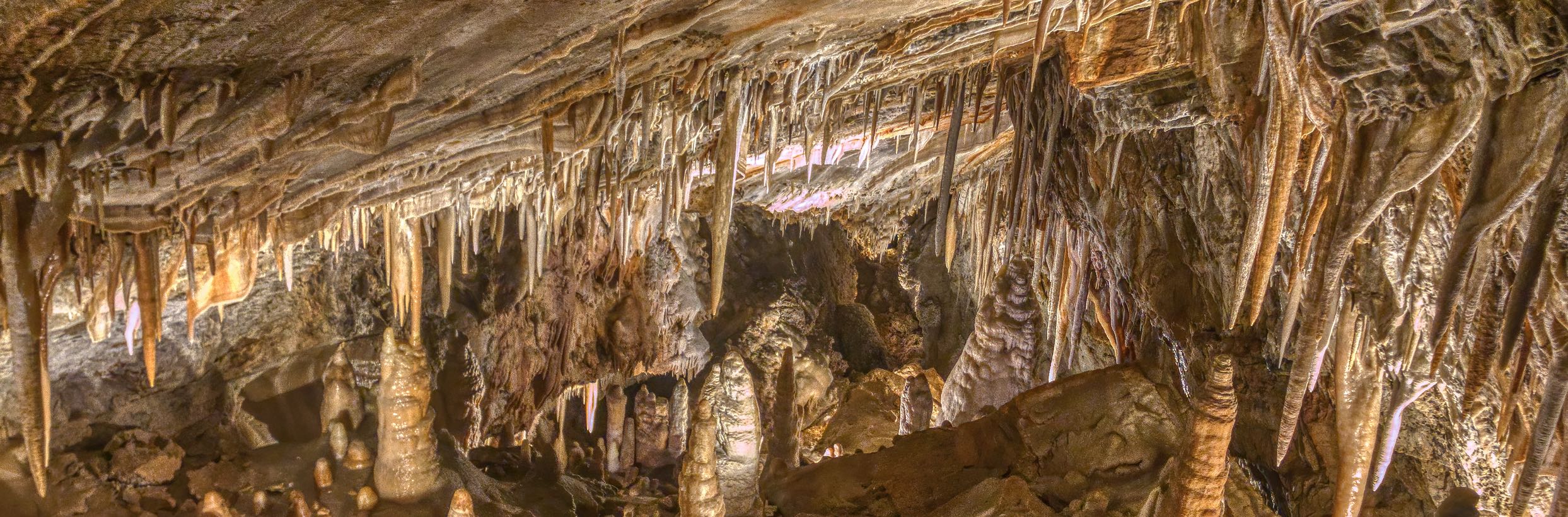 An inside view of the Glenwood Caverns Adventure caves, where the light delicately illuminates the stalagmites, revealing the intricate beauty of the underground formations.