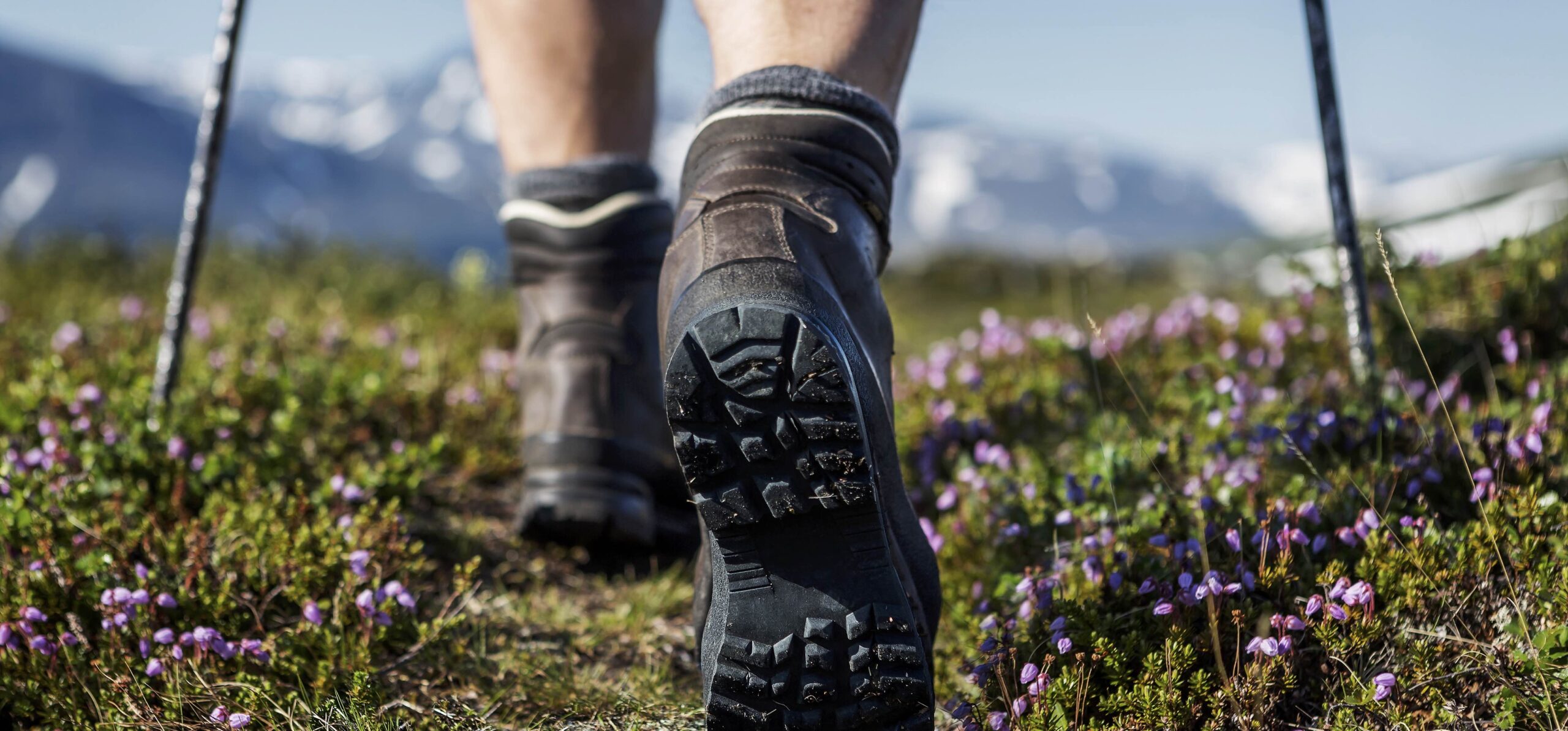 This captivating image showcases a pair of up-close hiking boots treading a grassy trail, with small purple flowers guiding the way toward the majestic snow-capped mountains.